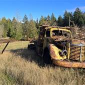 Truck Graveyard