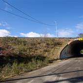 Maple Lake Tunnel