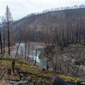 Holding Road (Chase to Adams Lake Ferry)