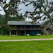 Sayward Bird House