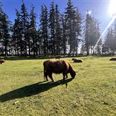 Seaview Game Farm and waterfront acreage