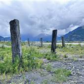 Squamish Log Sort - Vacant Unpaved Lot