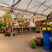 Patio Gardens