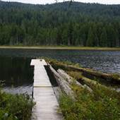 Malcolm Knapp Research Forest Marion Lake - UBC