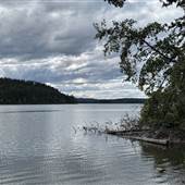 Bridge Lake Provincial Park