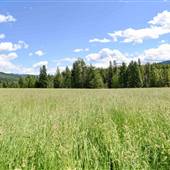 Graffunder Fields by North Thompson River