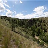 Peterson Creek Nature Park - East Ridge Above Waterfalls - Lookout