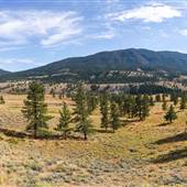 Midday Valley Road 1 km - 10 km