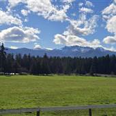Silver Meadows Farm Field