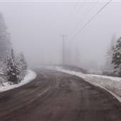 Rose Hill Road & Forested Gully WINTER