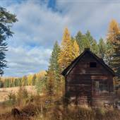 Twilight Meadows Ranch