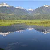 REVELSTOKE LANDSCAPES