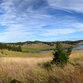 KGHM Ajax Blue Mountain Field & Forest