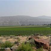 Desert Hills Ranch Farm Crop Fields