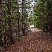 Trail - DSB Ranch near lake #105 - Trail Walk from South End to Western Property Boundary WINTER