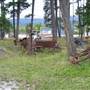 Kicking Horse Drive