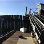 Savary Island Dock