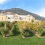 TINHORN CREEK WINERY