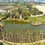BELGO POND AND VINEYARDS