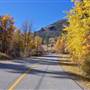 GREEN MOUNTAIN RD ( Fall )