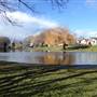 Dallas Road Duck Pond