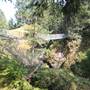 Haslam Creek Suspension Bridge