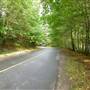 Woodburn Road