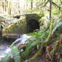 C.N.P.R Rail Road Grade Tunnel Ruins