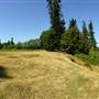 Hudson's Farm - Farmland