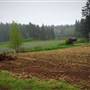 McNab's Farm