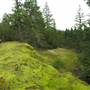 CBC Hill