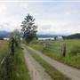 Lone Pine Farm