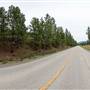Westsyde Road - Treed Sides