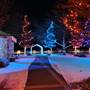 PEACHLAND CHRISTMAS LIGHTS