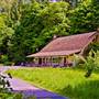 Goldstream Nature House