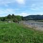 *Salmon River Estuary