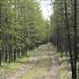 BACKCOUNTRY ROAD ( BEAVER DELL RD )