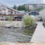 SHAUGHNESSYS COVE RESTAURANT