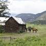 OLD HEDLEY RD CABIN