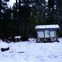 Alberni Inlet Trail