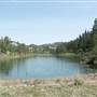 STILL POND PARK