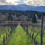 Chateau Wolff Estate Winery