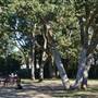 Danbrook Park and Off-Leash Area