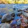 Puntledge River (Puntledge Park)