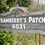 Strawberry’s Patch