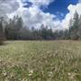 Macham Road - 85 Private Acres