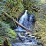 Shooting Star Falls