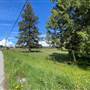 Padgett Road