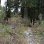 STEWART CREEK FRS TRAILS