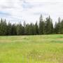 Mt Lolo Clearing, Roads & Trails